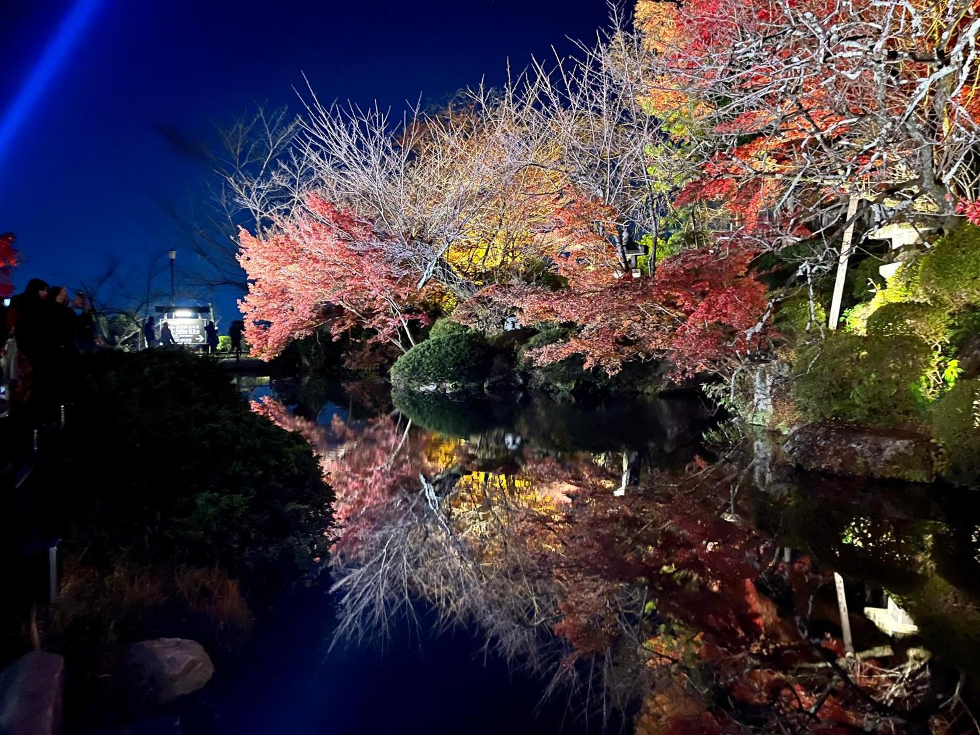 Kamozen Kyoto Machiya Stay מראה חיצוני תמונה